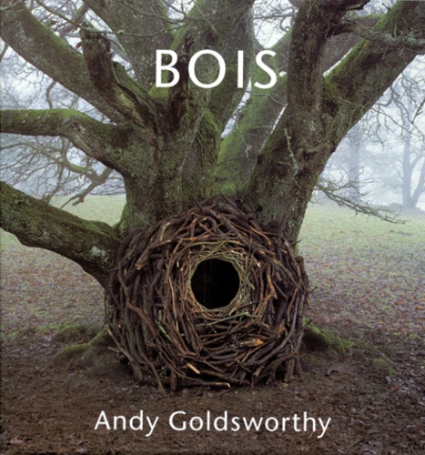 Andy Goldsworthy - Bois.