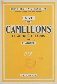 La vie des caméléons et autres lézards