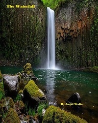  Angel Wolfe - The Waterfall.
