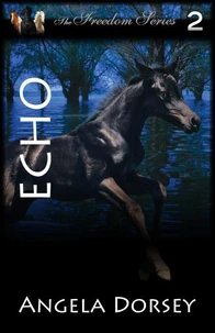 Echo