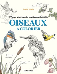 Mon carnet naturaliste oiseaux à colorier