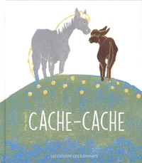 Cache-cache