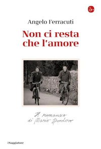 Non ci resta che l'amore