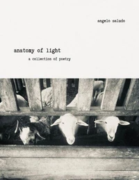 Anatomy of Light