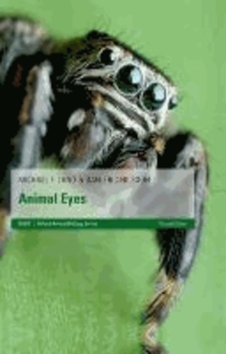 Animal Eyes.