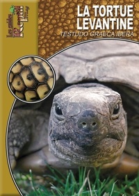  Animalia - La tortue levantine.