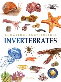 Animals - Invertebrates : Knowledge Encyclopedia For Children