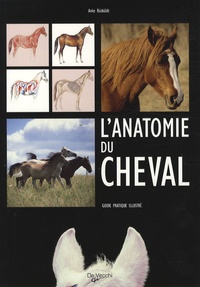 Anke Rüsbüldt - L'anatomie du cheval - Guide pratique illustré.