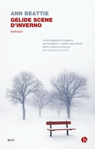 Gelide scene d'inverno