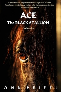 Ann Feifel - Ace The Black Stallion - Mystery Horse Lover's Series, #1.