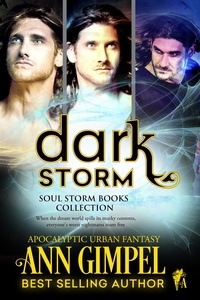  Ann Gimpel - Dark Storm, Soul Storm Books Collection.