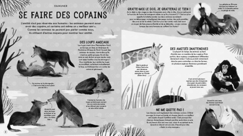 La vie surprenante des animaux. Comment ils s'amusent, jouent et font des bêtises