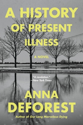 A History of Present Illness. A Novel