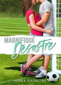 Magnifique Désastre