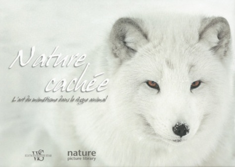 Anna Levin - Nature cachée - L'art du mimétisme dans le règne animal.