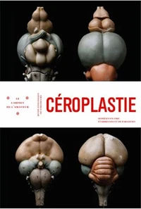 Céroplastie
