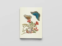 Métamorphose des papillons