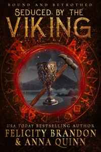 Seduced by the Viking