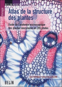 Anna Speranza et Gian-Lorenzo Calzoni - Atlas de la structure des plantes - Guide de l'anatomie microscopique des plantes vasculaires en 285 photos.