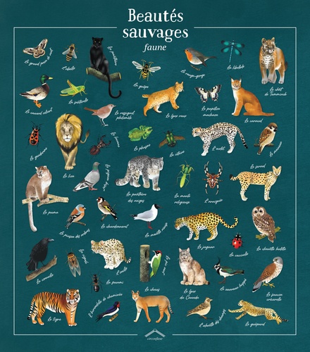 Beautés sauvages faune. Avec 1 poster