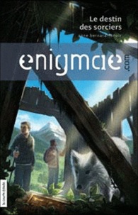 Anne Bernard-Lenoir - Enigmae.com Tome 2 : Le destin des sorciers.