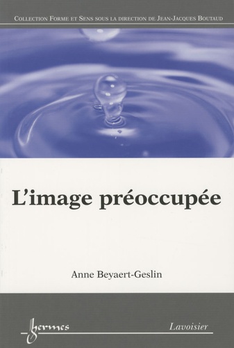 Anne Beyaert-Geslin - L'image préoccupée.