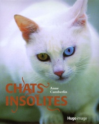 Anne Camberlin - Chats insolites.