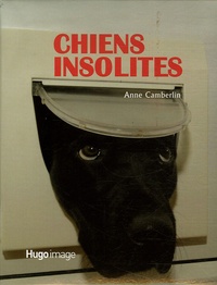 Anne Camberlin - Chiens insolites.