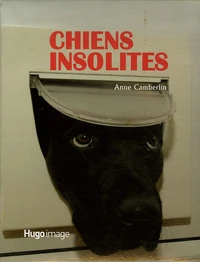 Chiens insolites