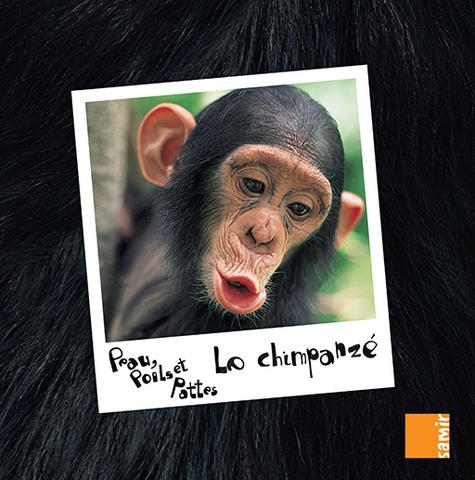 Anne-Claire Aubron - Le chimpanzé.