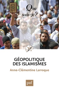 Anne-Clémentine Larroque - Géopolitique des islamismes.