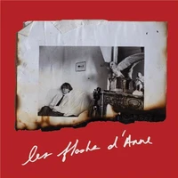 Anne Day Les Flashes D Anne /anglais