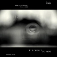 À l'échelle du vide