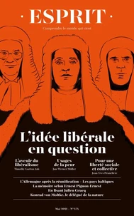 L'idée libérale en question