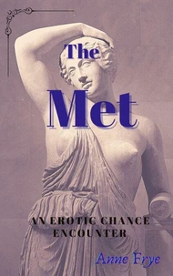 The Met: An Erotic Chance Encounter
