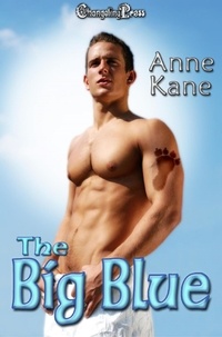  Anne Kane - The Big Blue - Protect and Serve, #6.
