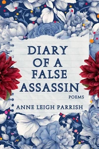 Diary of a False Assassin