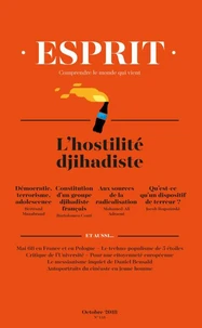 L'hostilité djihadiste
