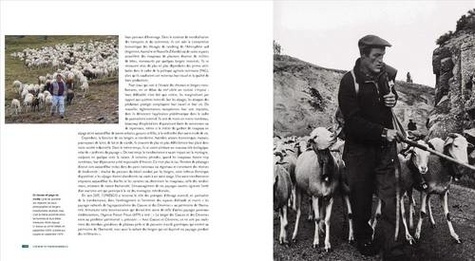 Chemins de transhumances. Histoire des bêtes et bergers du voyage