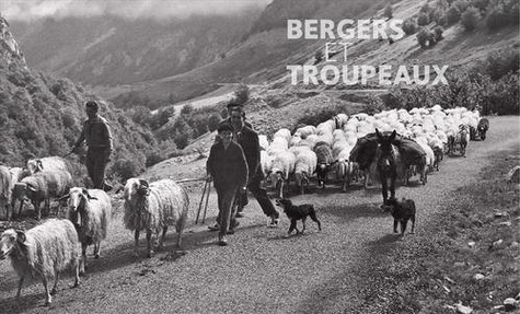 Chemins de transhumances. Histoire des bêtes et bergers du voyage