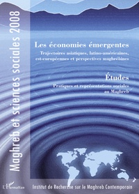 Anne-Marie Planel et Yamina Mathlouthi - Les économies émergentes - Trajectoires asiatiques, latino-américaines, est-européennes et perspectives maghrébines.