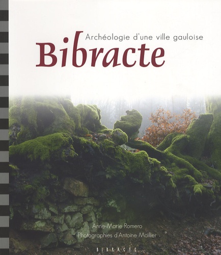 Anne-Marie Romero - Bibracte - Archéologie d'une ville gauloise.