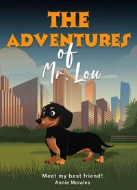 The Adventures of Mr. Lou