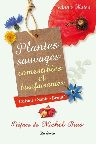 Anne Mateo - Plantes sauvages comestibles et bienfaisantes - Cuisine, santé, beauté.