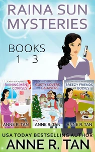 Raina Sun Mystery Boxed Set Vol 1 (Books 1-3)