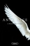 Anne Rice - L'heure de l'ange.