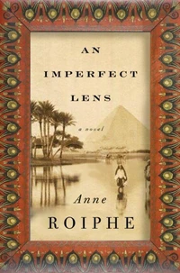 An Imperfect Lens