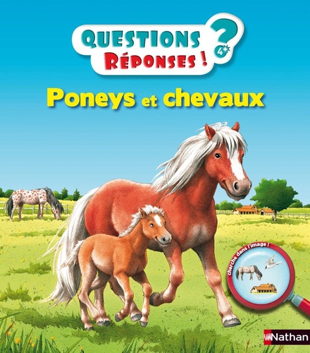 Poneys et chevaux - Occasion
