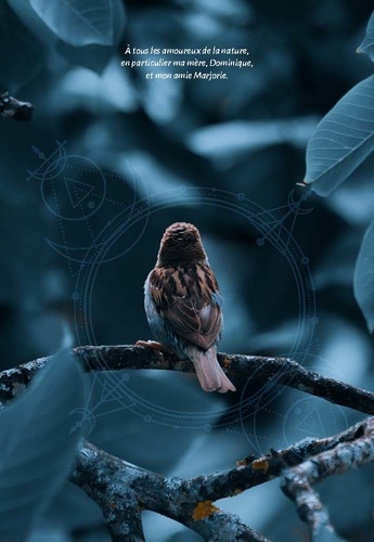 Les messages des oiseaux. Symboliques, oracles, énergies
