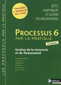 Annelise Couleau-Dupont - Processus 6 Gestion de la trésorerie et du financement BTS CGO 2e année.